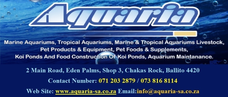 Specialists in all your Aquarium needs
