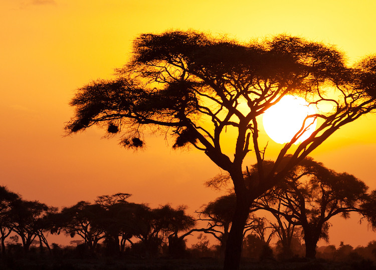 Sunset in the Greater Kruger