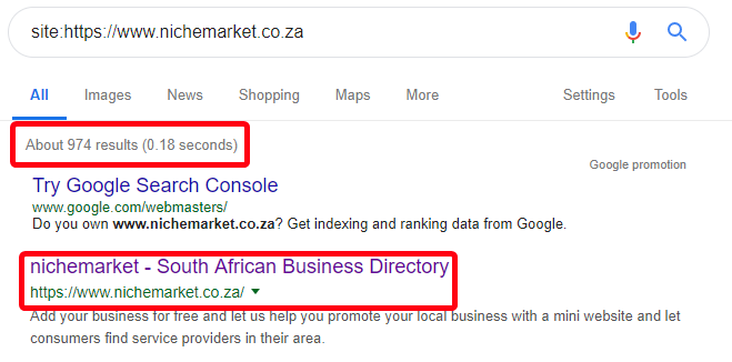 Google site search for nichemarket