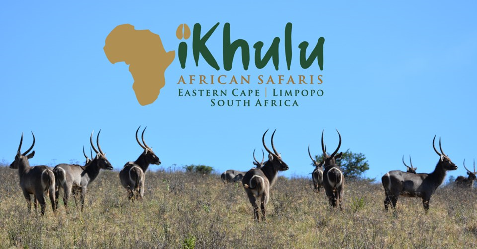 Ikhulu African Safaris