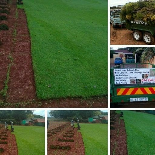 Instant lawn delivery and installation ///0749543941