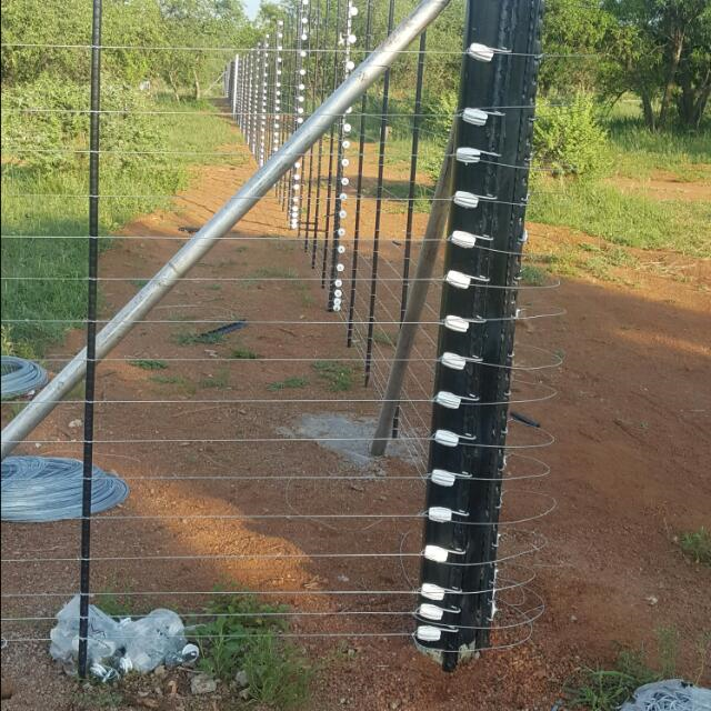 Electric fence