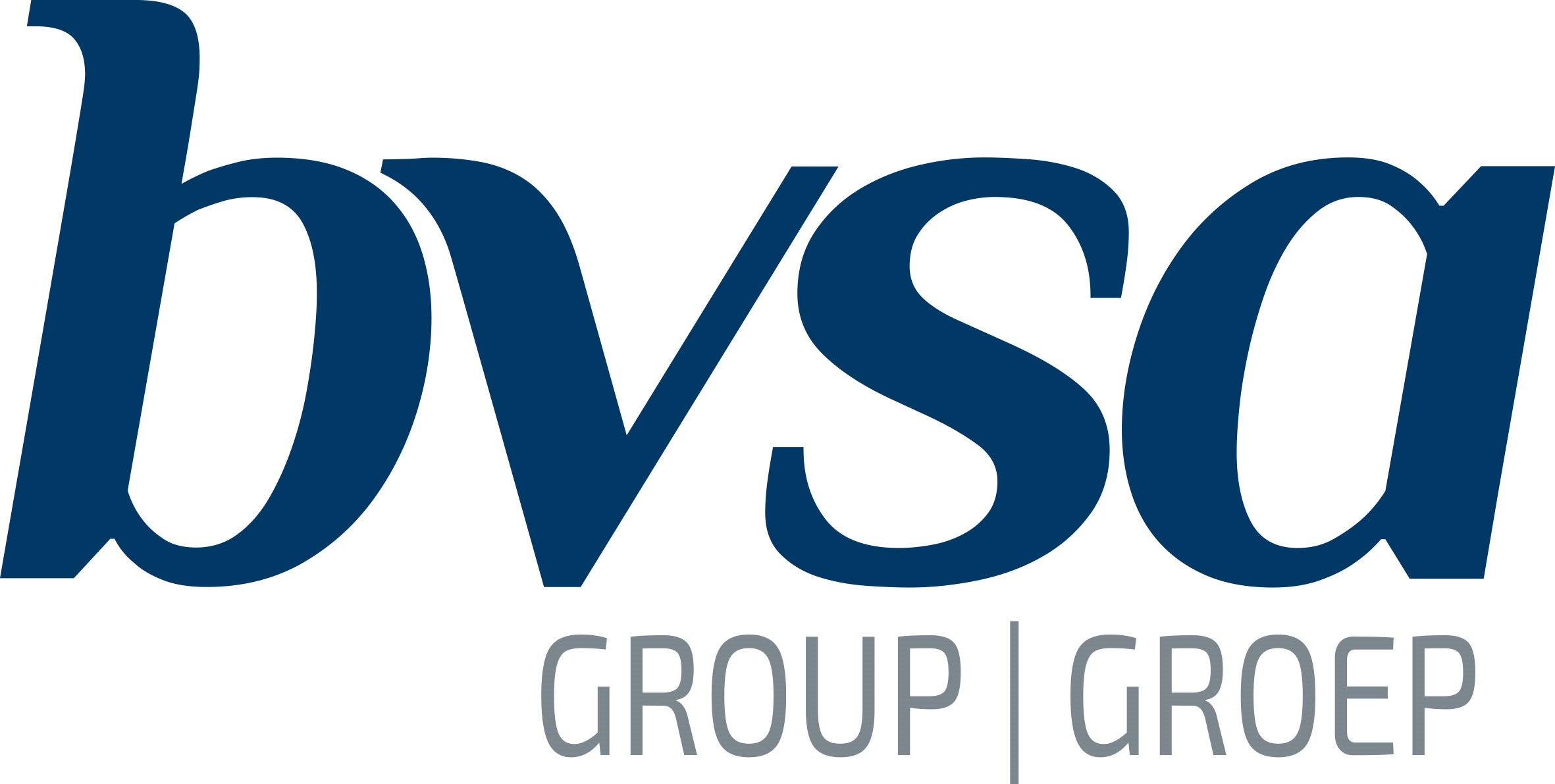 BVSA Communication Group