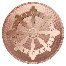logo “the Chakra” defines eight energetic centers in the body that teaches us to believe in ourselves. 