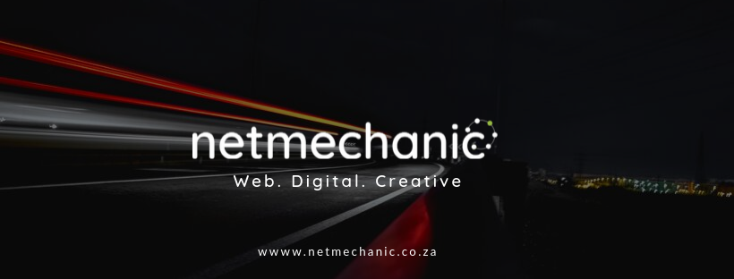 Netmechanic web development agency