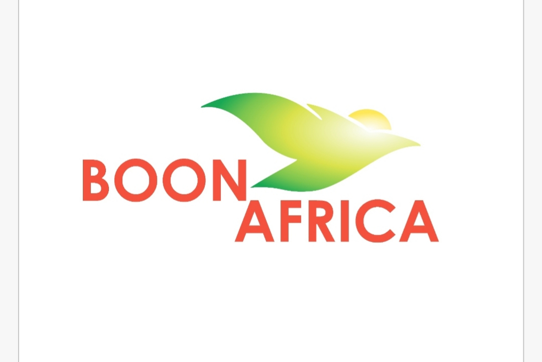 Boon Africa logo