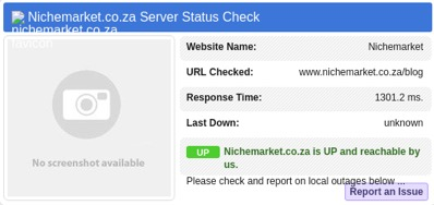 nichemarket uptime test