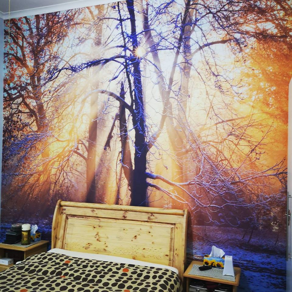 WallPrint wallpaper/wall mural of forest and sunrise