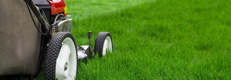 Cutting lawn in East London