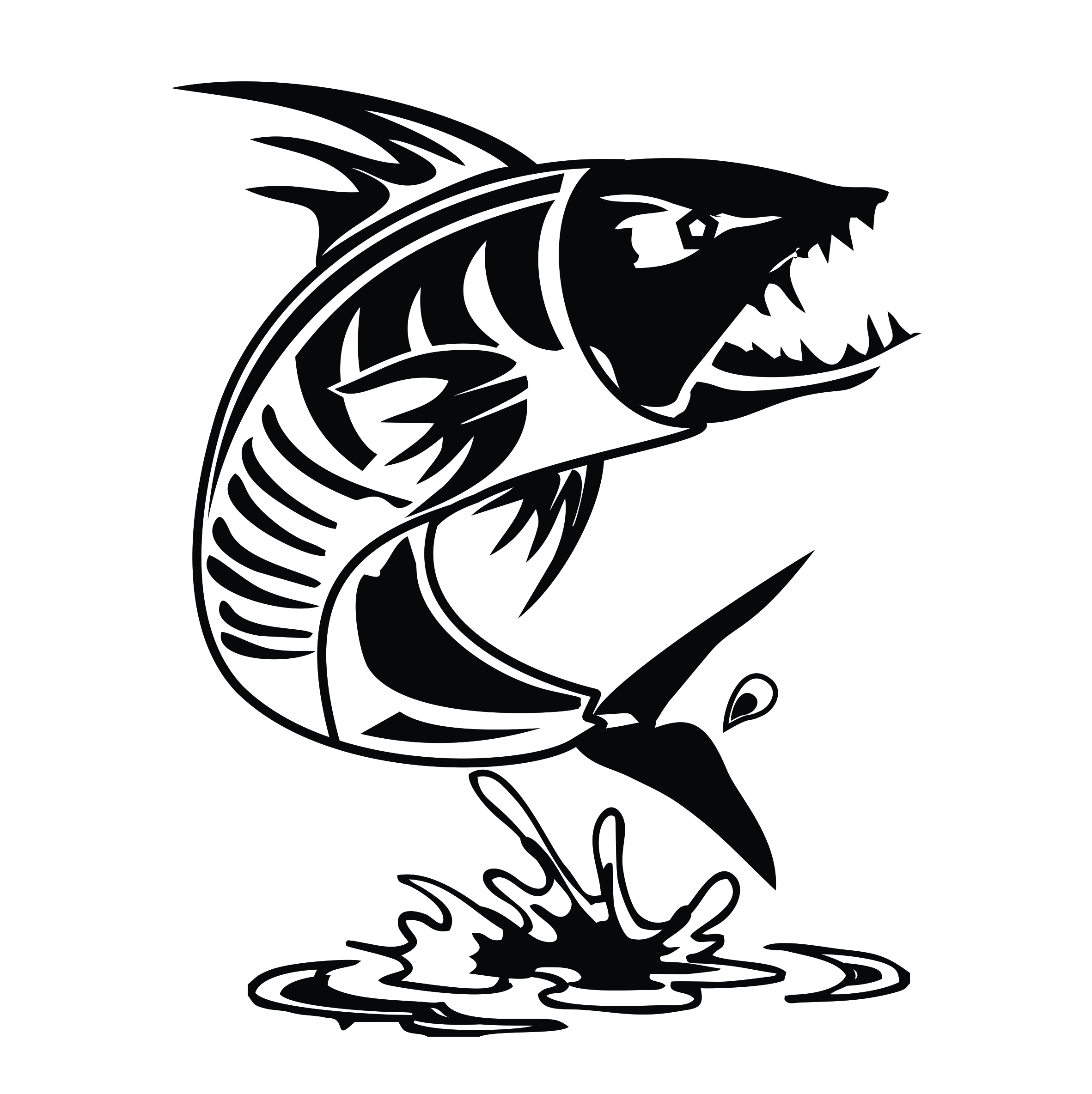 Tigerfish Software - nichemarket