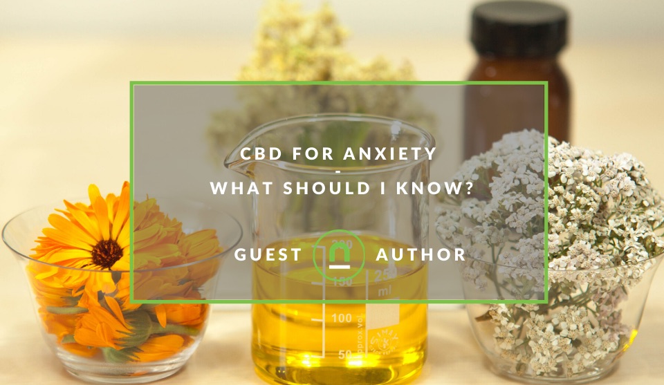 How to use CBD to treat anxiety