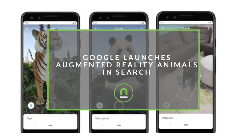 Google 'View in 3D' Animals AR Feature Video Tutorial: Step by Step Guide  on How to Click Photos With Lion, Giant Panda, Tiger, and Penguin in Your  Space