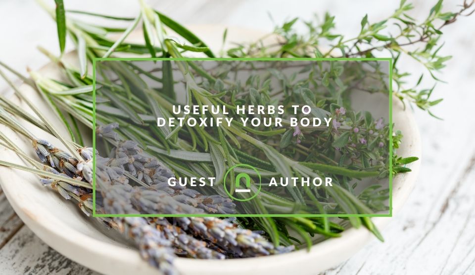 Herbs to detox your body