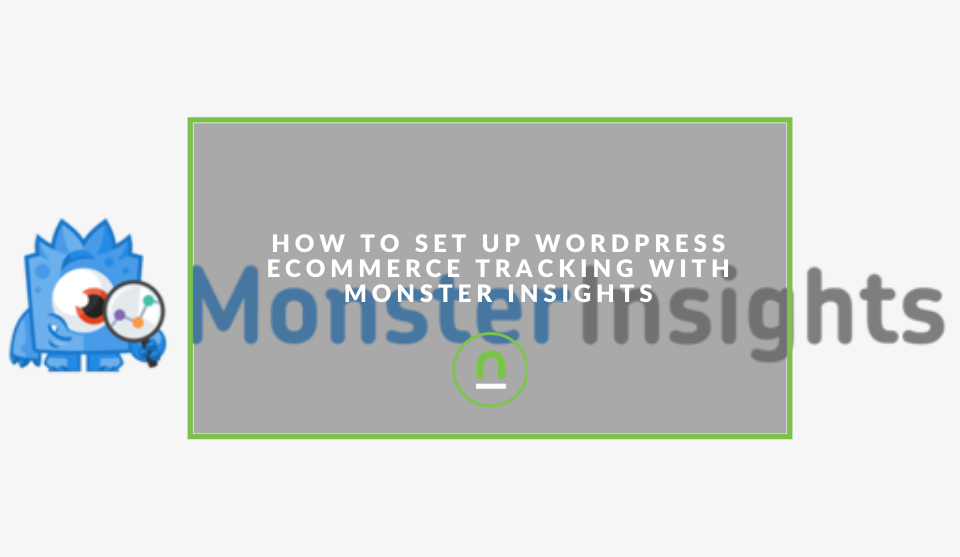 eCommerce tracking setup with Monster Insights Plugin