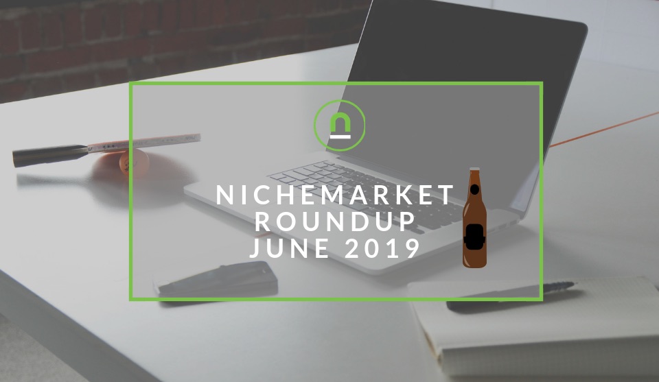 nichemarket performance summary 2019