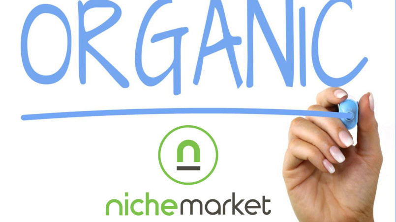 nichemarket organic traffic growth