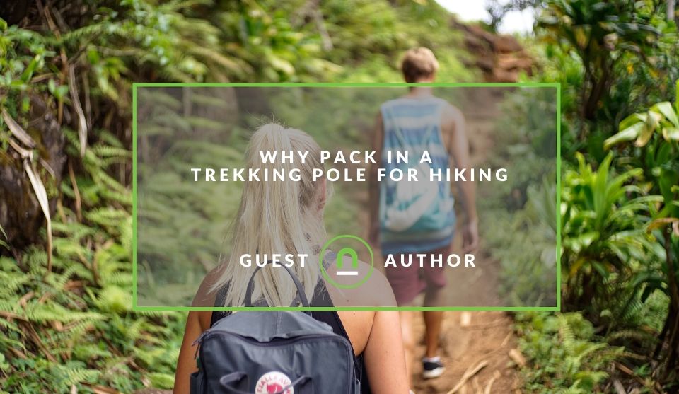 Benefits of a trekking pole