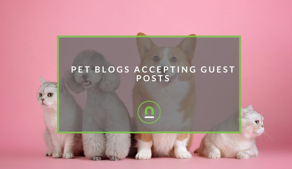 Pet blogs accepting guest posts