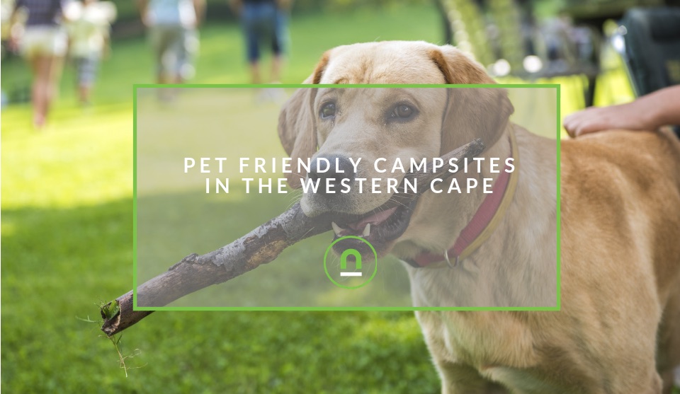 Pet friendly Places to Camp Western Cape