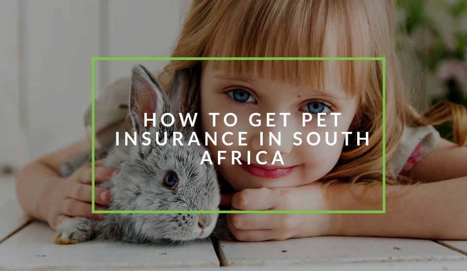 Pet Insurance South Africa