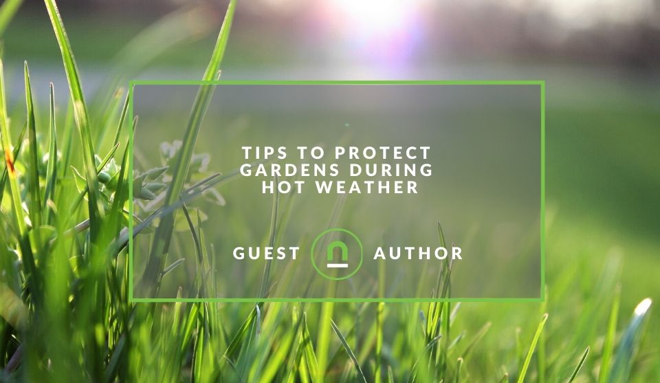 Protect gardens in hot weather