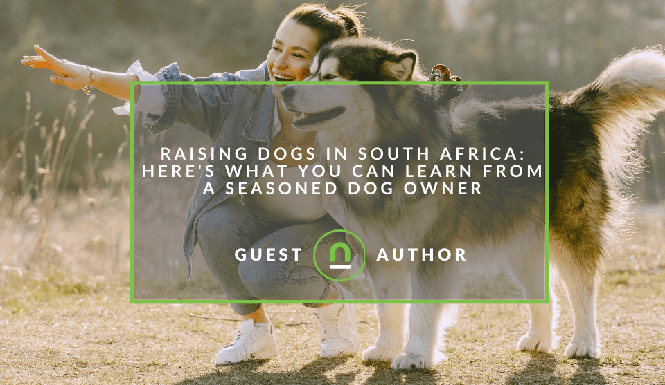Raising Dogs In South Africa