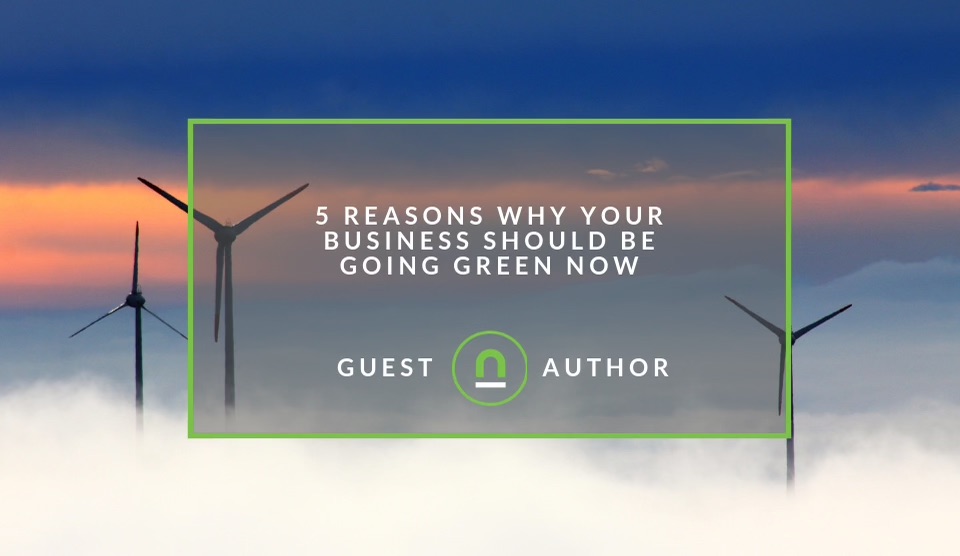 Benefits of going green as a business
