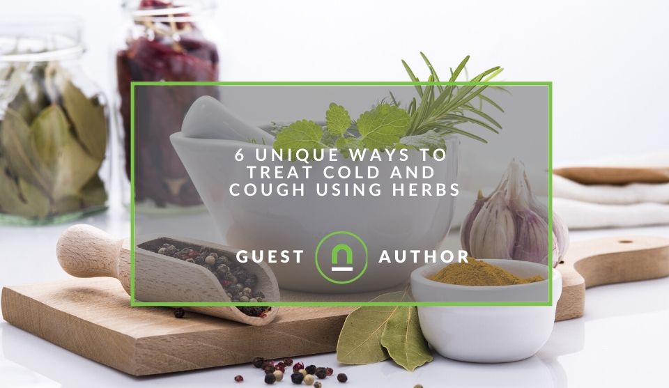 cold remedies using herbs