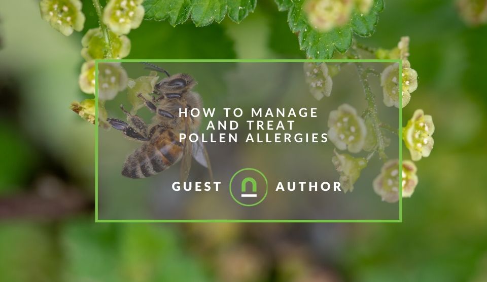 How to treat pollen allergies