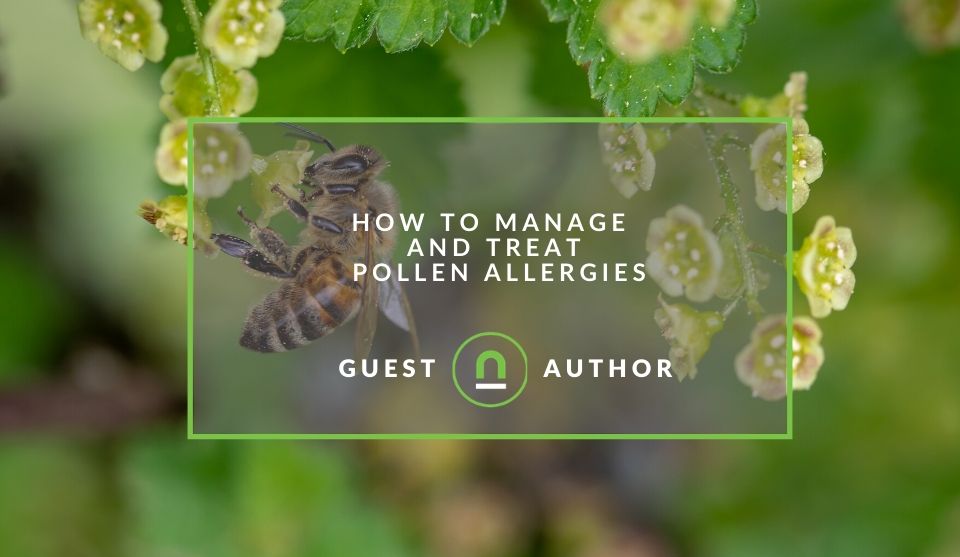 How to Manage and Treat Pollen Allergies - nichemarket