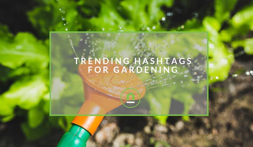 Popular hashtags for gardening