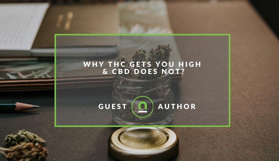 CBD vs THC getting you high