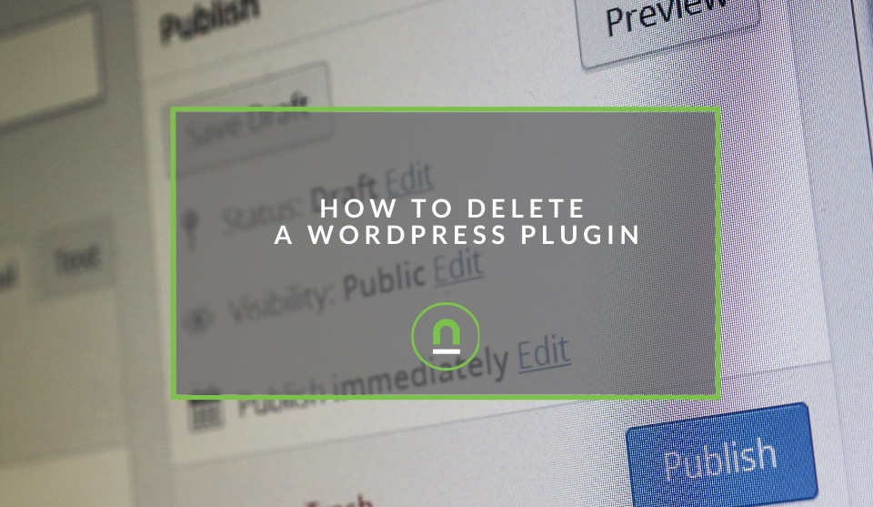 Deleting a wordpress plugin