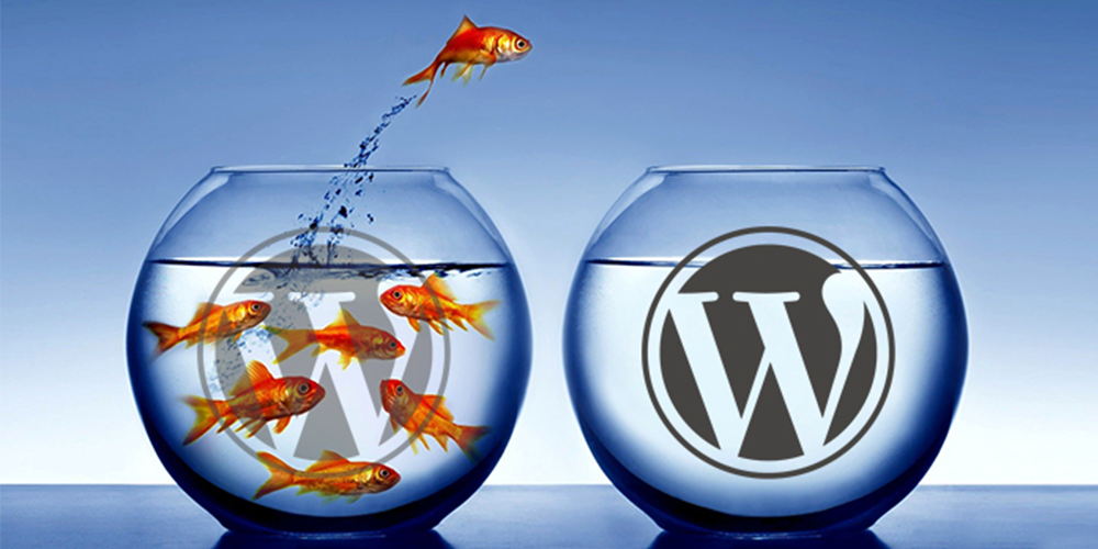 How to successfully migrate your WordPress site to a new host