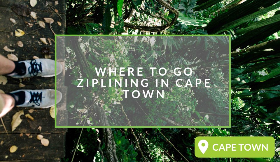 Ziplining in Cape Town