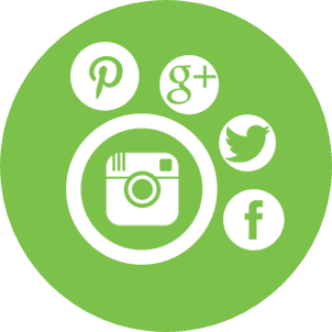 nichemarket social media marketing icon